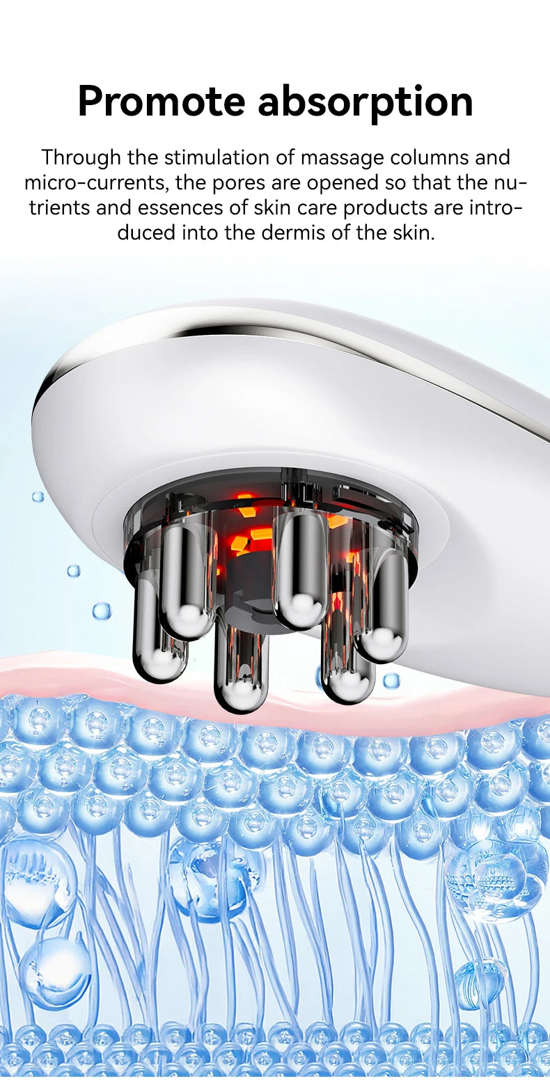 Face & Body Sculpting Massager — The Wellness Edit by Cassidy Collective